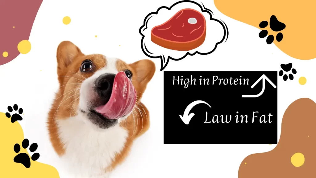 high protein food for dog