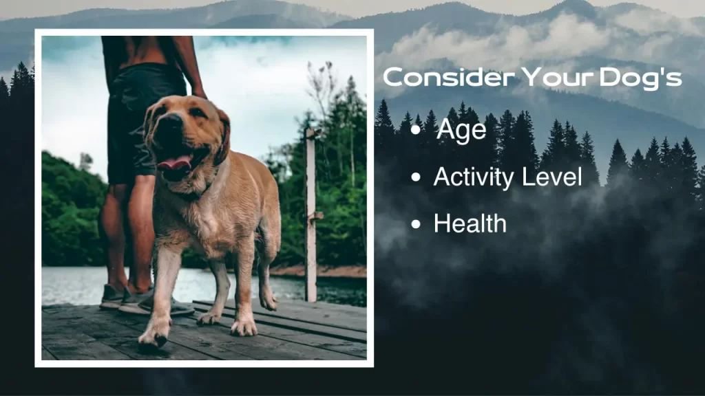 dog's age and health